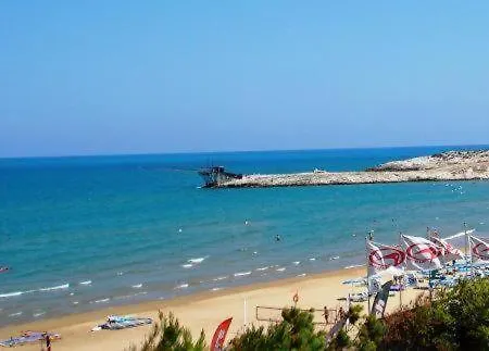 Gallo * ויאסטה
