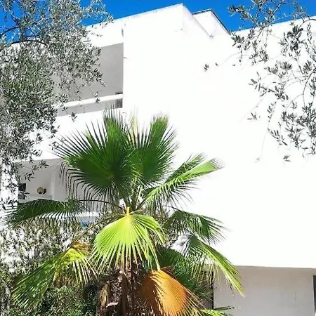 Gallo *